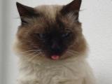 DSC01104.JPG