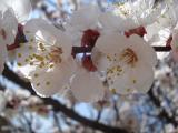 DSC01513.JPG