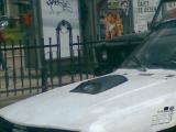Dacia_dragster.jpg