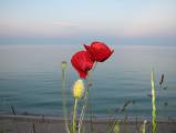 IMG_0012.JPG