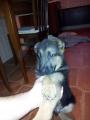 2011-09-30 07.24.58.jpg