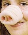 post-1577-1128076898_thumb.jpg