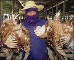 post-2099-1140201311_thumb.jpg
