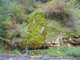 SANY0474.JPG