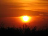 IMG_0231.JPG